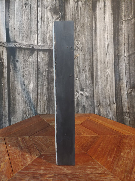 Photo-Encaustic: The Lengths That I Will Go To