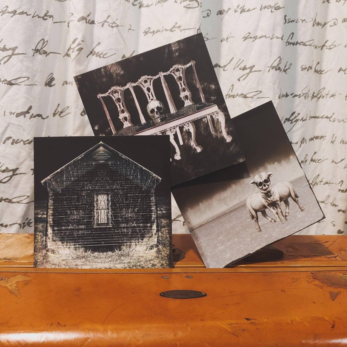 Postcard Pack: Black + White