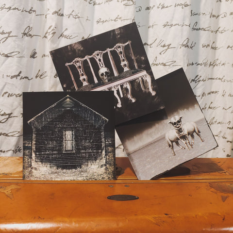 Postcard Pack: Black + White