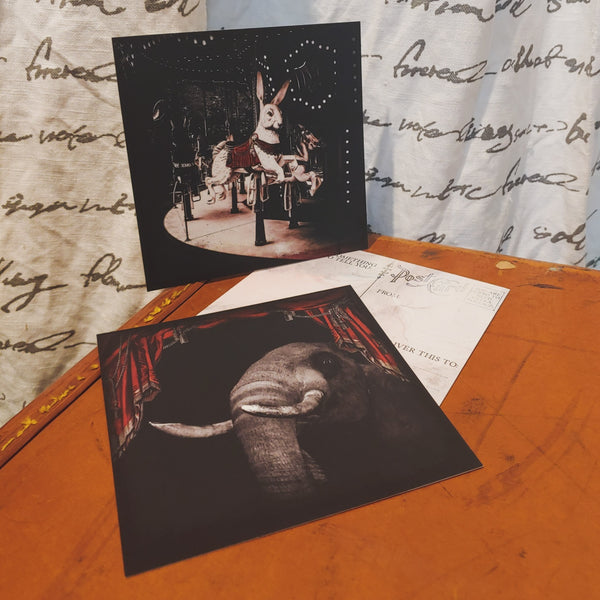 Postcard Pack: Night Circus