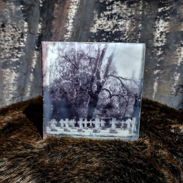 Photo-Encaustic: Cemetery