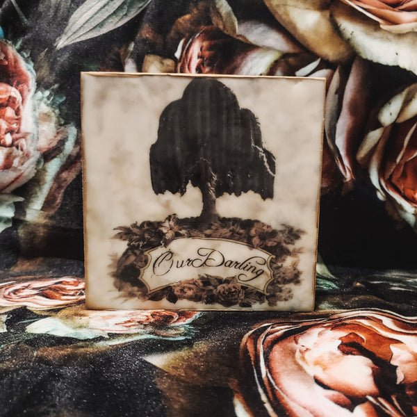 Photo-Encaustic: Our Darling