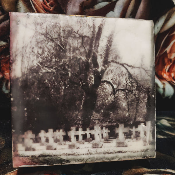 Photo-Encaustic: Cemetery