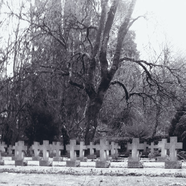 Photo-Encaustic: Cemetery